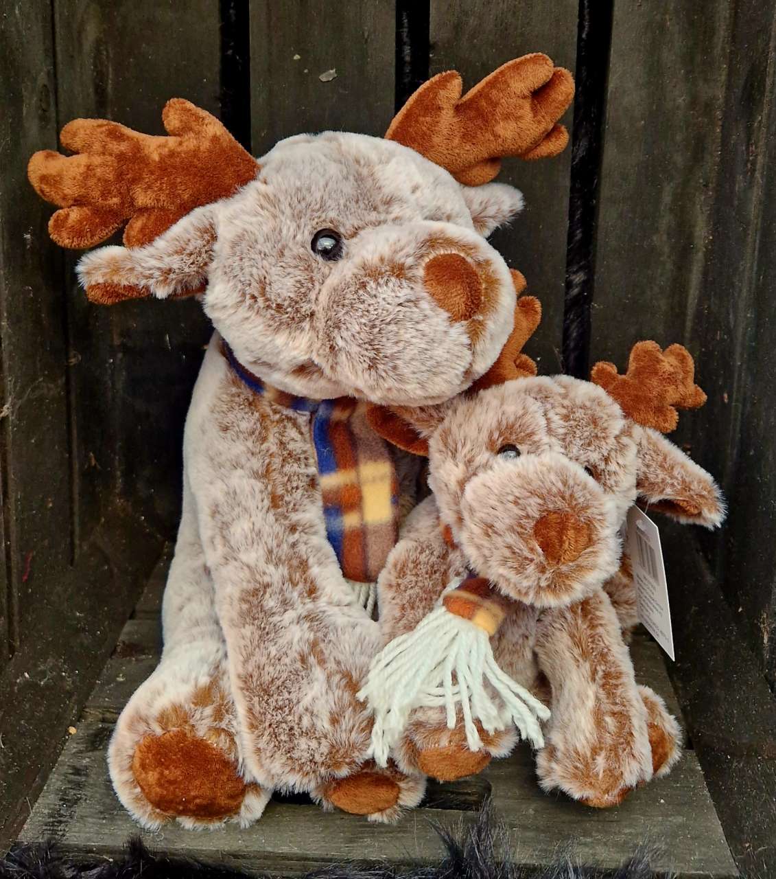 Kerstdecoratie - Groencentrum Hoogeveen Kerstdecoratie - Groencentrum Hoogeveen