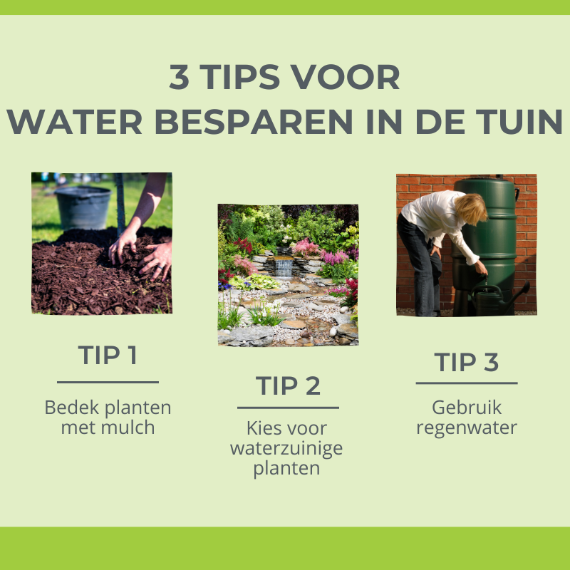3 tips voor water besparen in de tuin - Groencentrum Hoogeveen