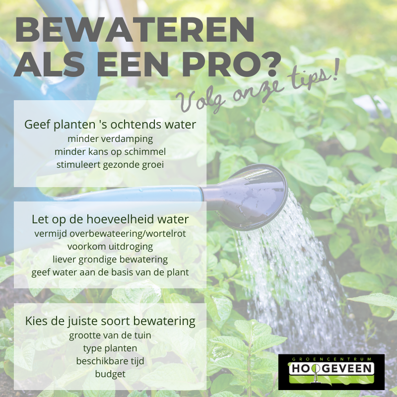 Bewateren als een pro - Groencentrum Hoogeveen