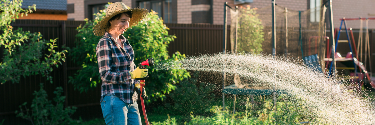 Bewatering - Groencentrum Hoogeveen