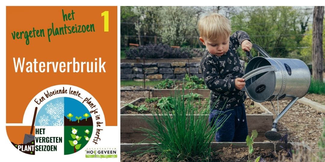 Het Vergeten Plantseizoen  - Waterverbruik