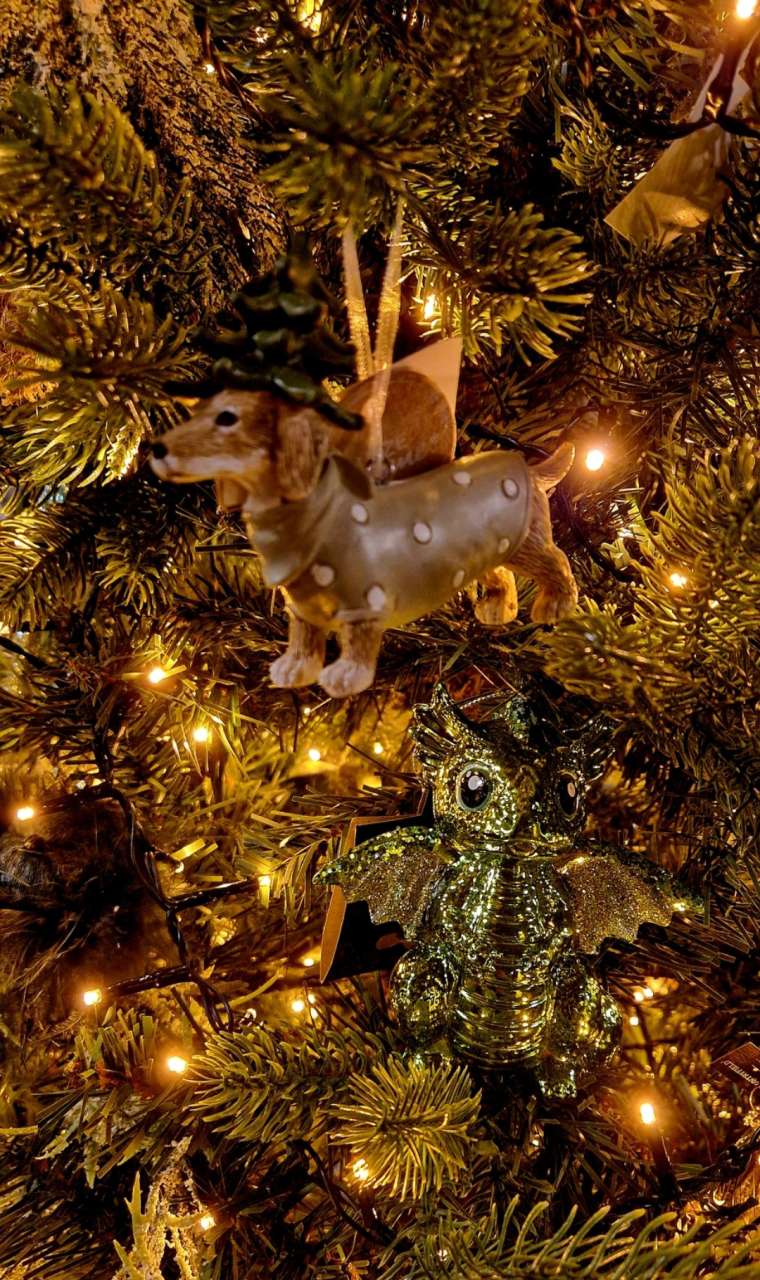 Kerstdecoratie - Groencentrum Hoogeveen Kerstdecoratie - Groencentrum Hoogeveen