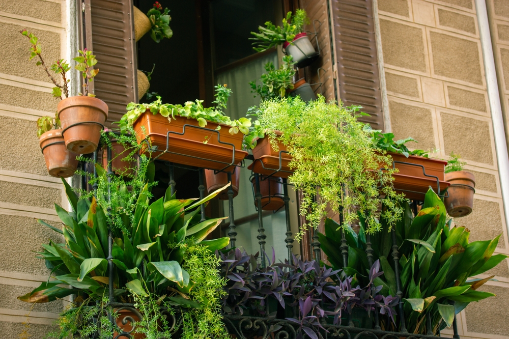 Balkon met vaste planten 