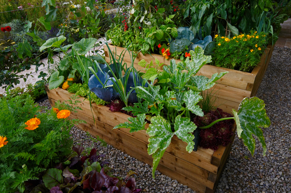 Moestuinbenodigdheden - Hoogeveen