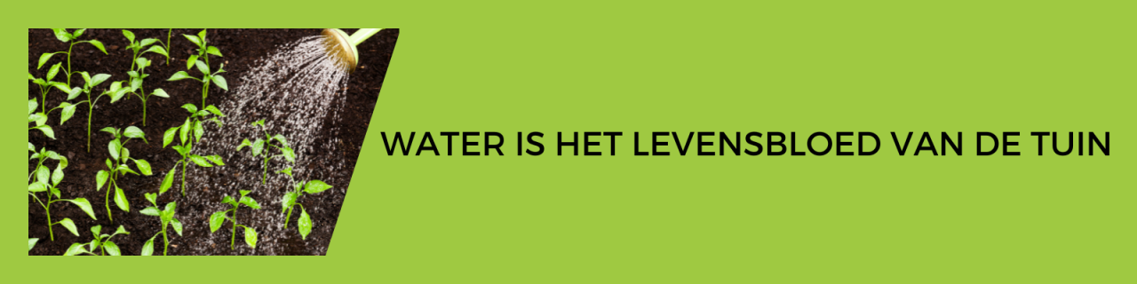 Planten water geven is belangrijk! Groencentrum Hoogeveen