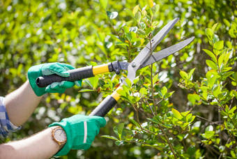 Handgereedschap voor de tuin