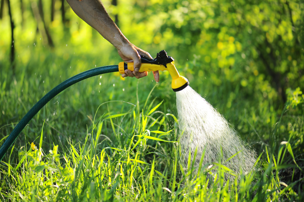 Bewatering Groencentrum Hoogeveen