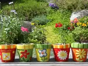 Containerplanten Containerplanten