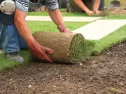 Gazonaanleg Gazonaanleg