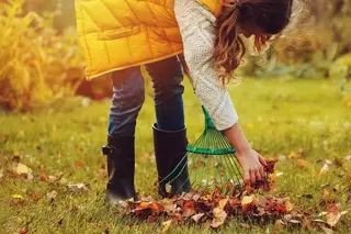 15 tuintips voor oktober