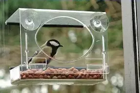 Nieuw bij Groencentrum Hoogeveen: Bolsmö Birdfeeder