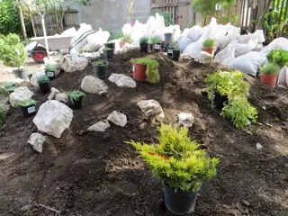 Planten voor een kalkminnende grond