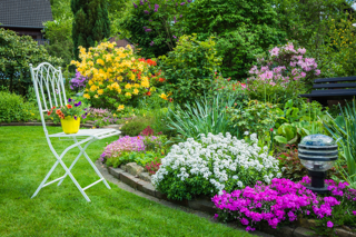 Tover je tuin om in een sprookjesachtige oase met vaste planten!