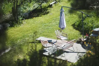 Weg met grijs: zo til je jouw tegeltuin naar een groener (en dus vrolijker) level!