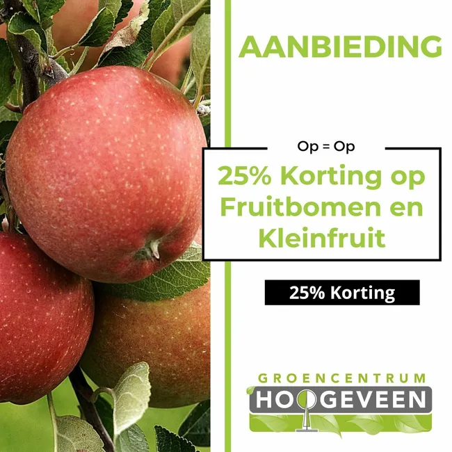 25% Korting op Fruitbomen en Kleinfruit