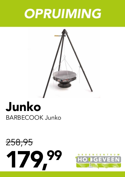 BBQ Junko