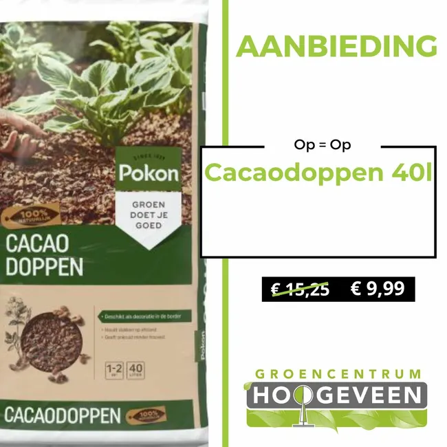 Cacaodoppen