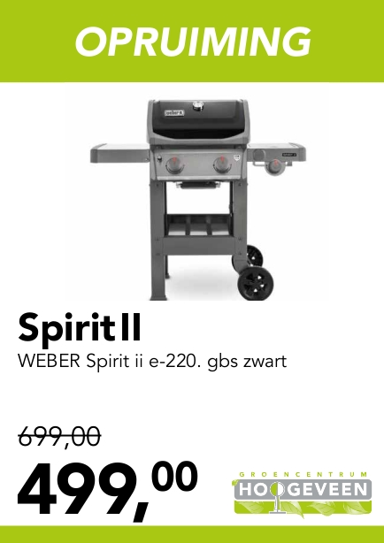 Gas BBQ Spirit II e-220