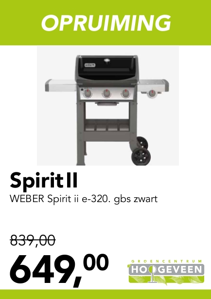 GAS BBQ SPIRIT II E-320