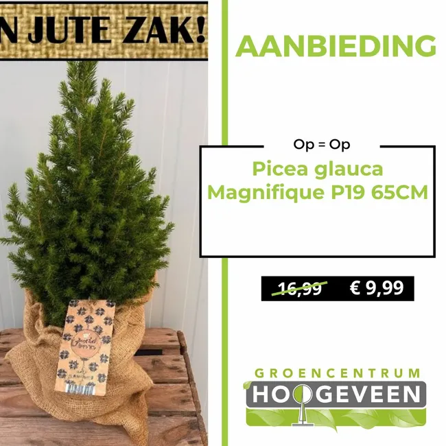 Kerstboompje