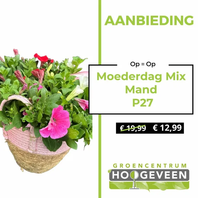 Moederdag Mand