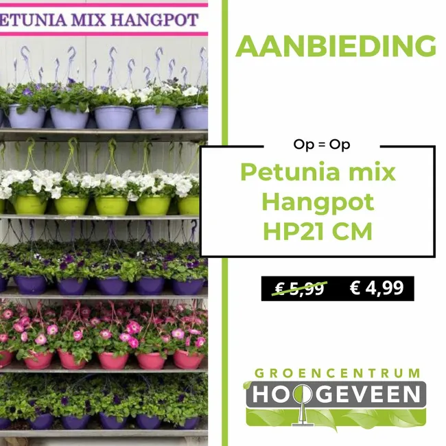 Petunia