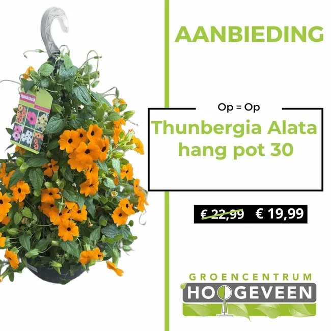 Suzanne-met-de-mooie-ogen