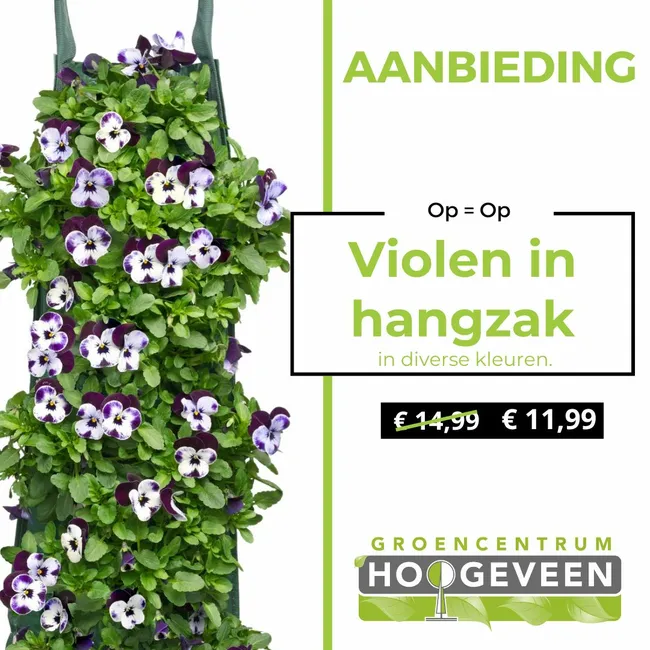Wandhanger
