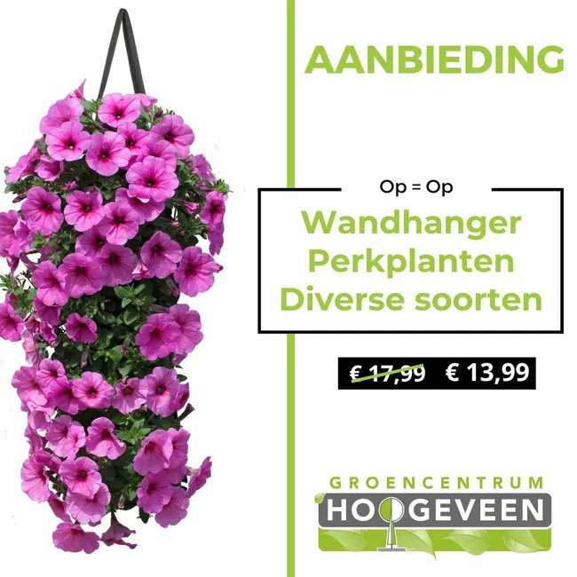 Wandhanger