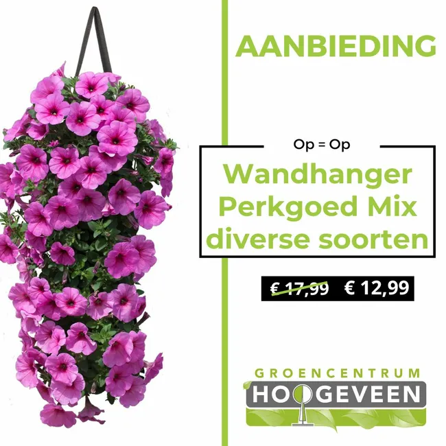 Wandhanger