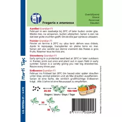 Aardbeien Sarian F1 - afbeelding 2