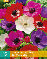 Anemone cor. de caen mix 15st