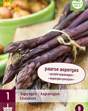 Asparagus erasmus 1st