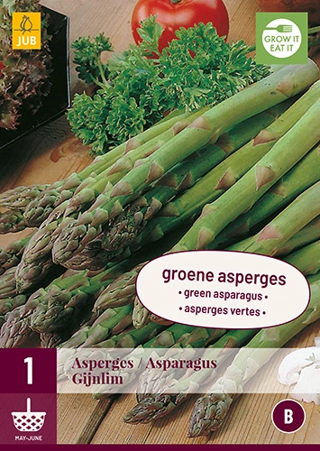 Asparagus gijnlim (groen) 1st