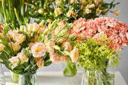 Bloemen