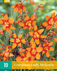 Crocosmia emily mckenzie 10st