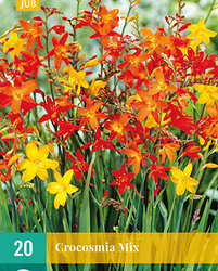 Crocosmia mix 20st