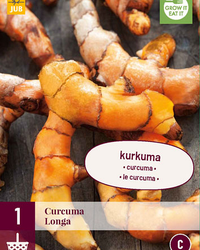 Curcuma longa 1st