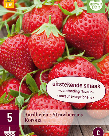 Fragaria korona 5st