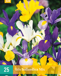 Iris hollandica mix 25st