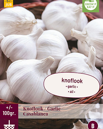 Knoflook casablanca 100gr