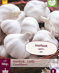 Knoflook casablanca 100gr