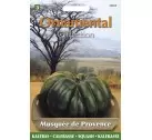 Courgette Musque De Provence