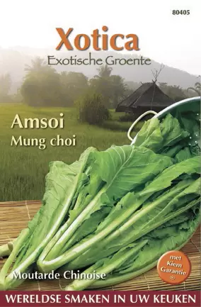 Xotica Amsoi Mung Choi
