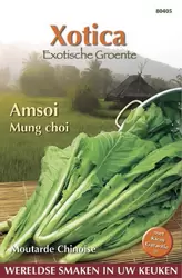 Xotica Amsoi Mung Choi