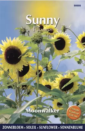 Sunny Flowers - Moonwalker