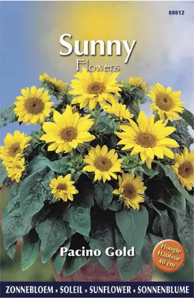 Sunny Flowers - Pacino Gold