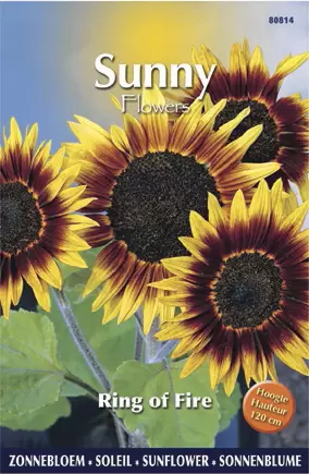 Sunny Flowers - Ring Of Fire