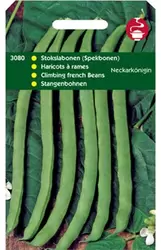 Stokspekbonen Neckarkoningin (Ty