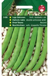 Stam (Lage) Slabonen Record Verb